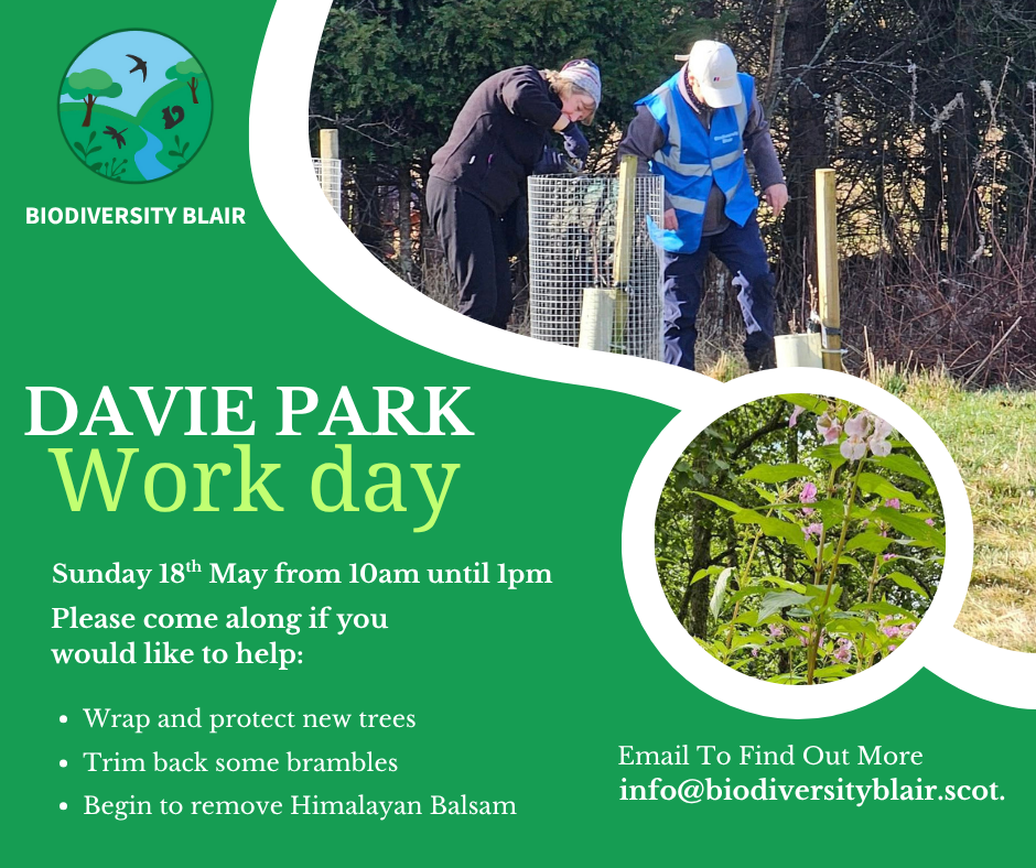 Biodiversity Blair - Davie Park Work Day
